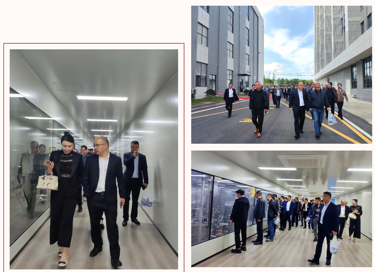 尊龙凯时 - 人生就是搏!